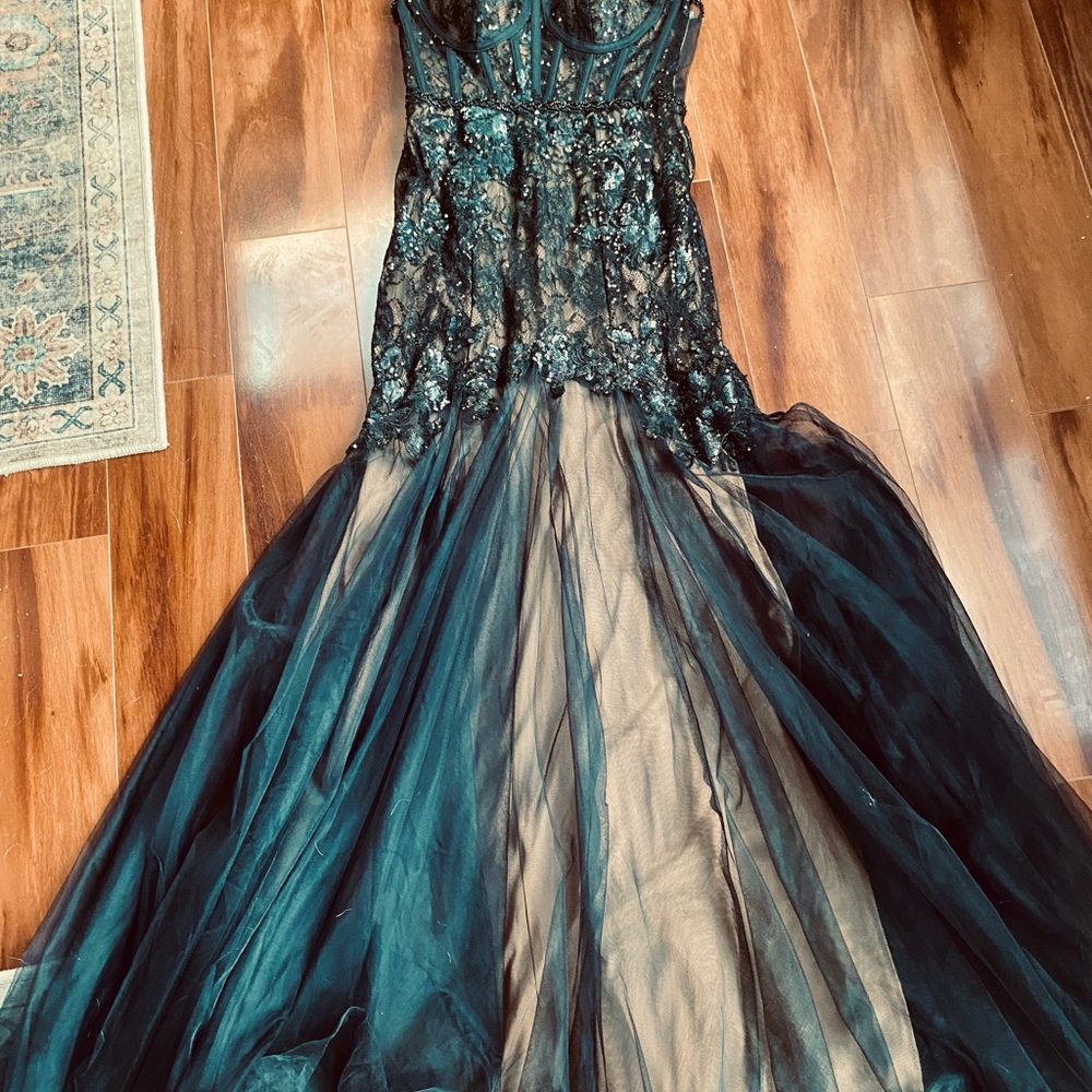 Elegant Black and Nude Gown